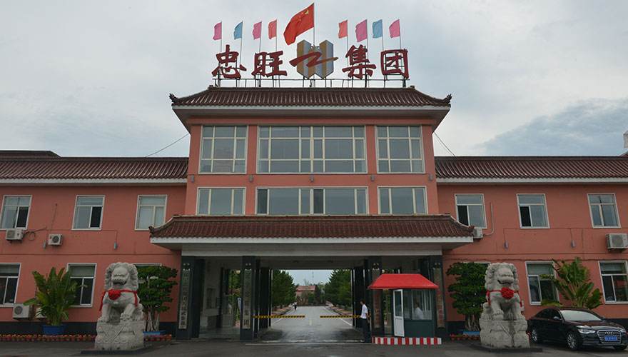 中国忠旺。